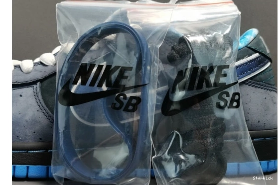 SB Dunk - 313170-342 Blue Low Lobster Nike 1008